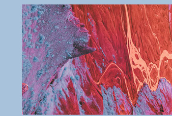 Frame 1